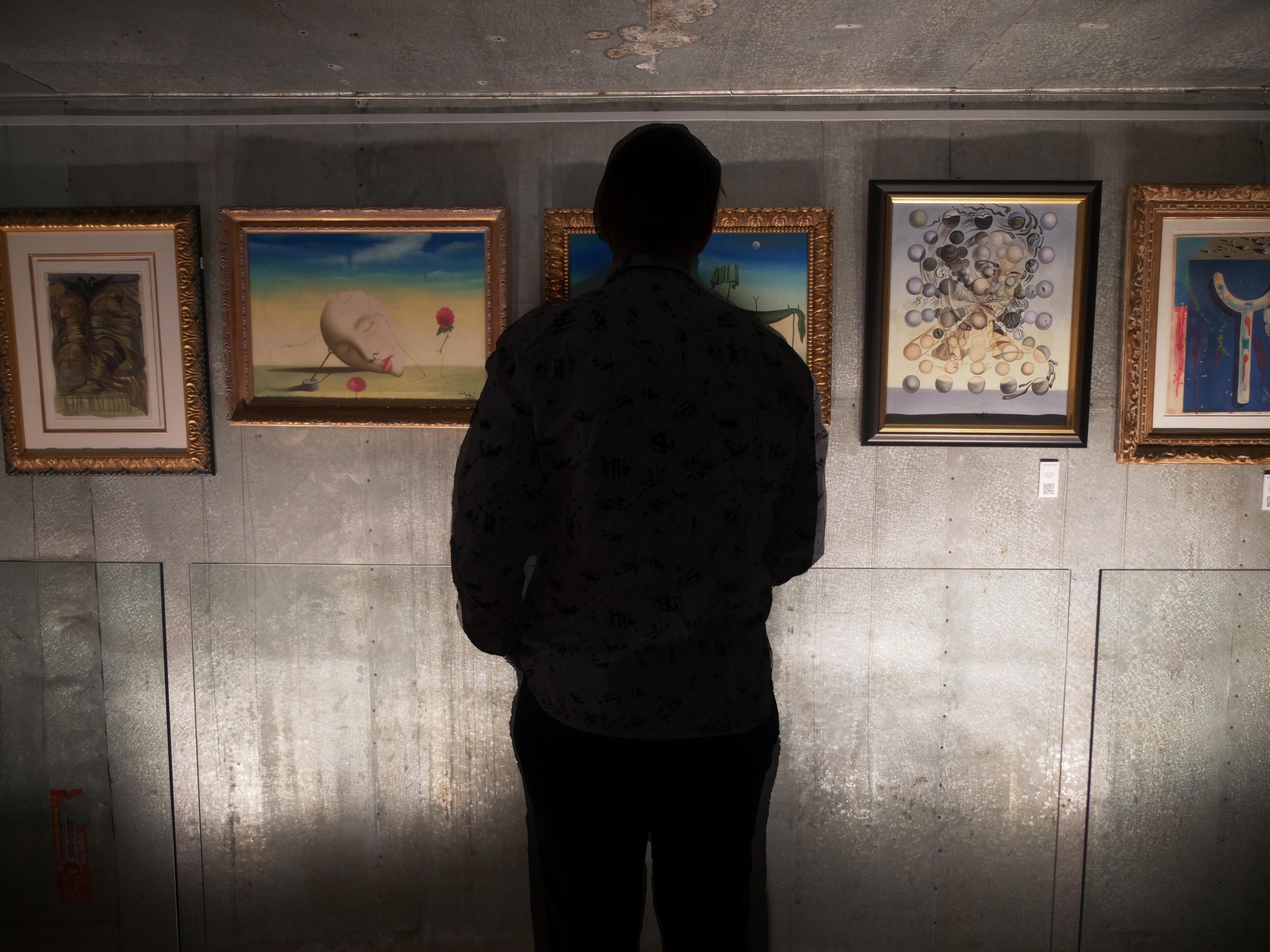 The nation's largest Salvador Dali on paper collection forms new museum in regional Tasmania - Vimarsana News