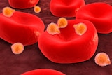 Illustration of malaria parasite entering blood