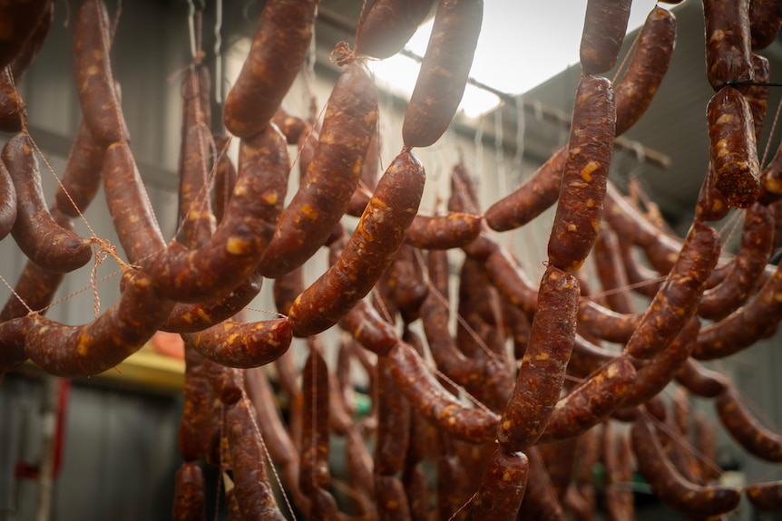 Sausages tied up in string hung from the ceiling to dry