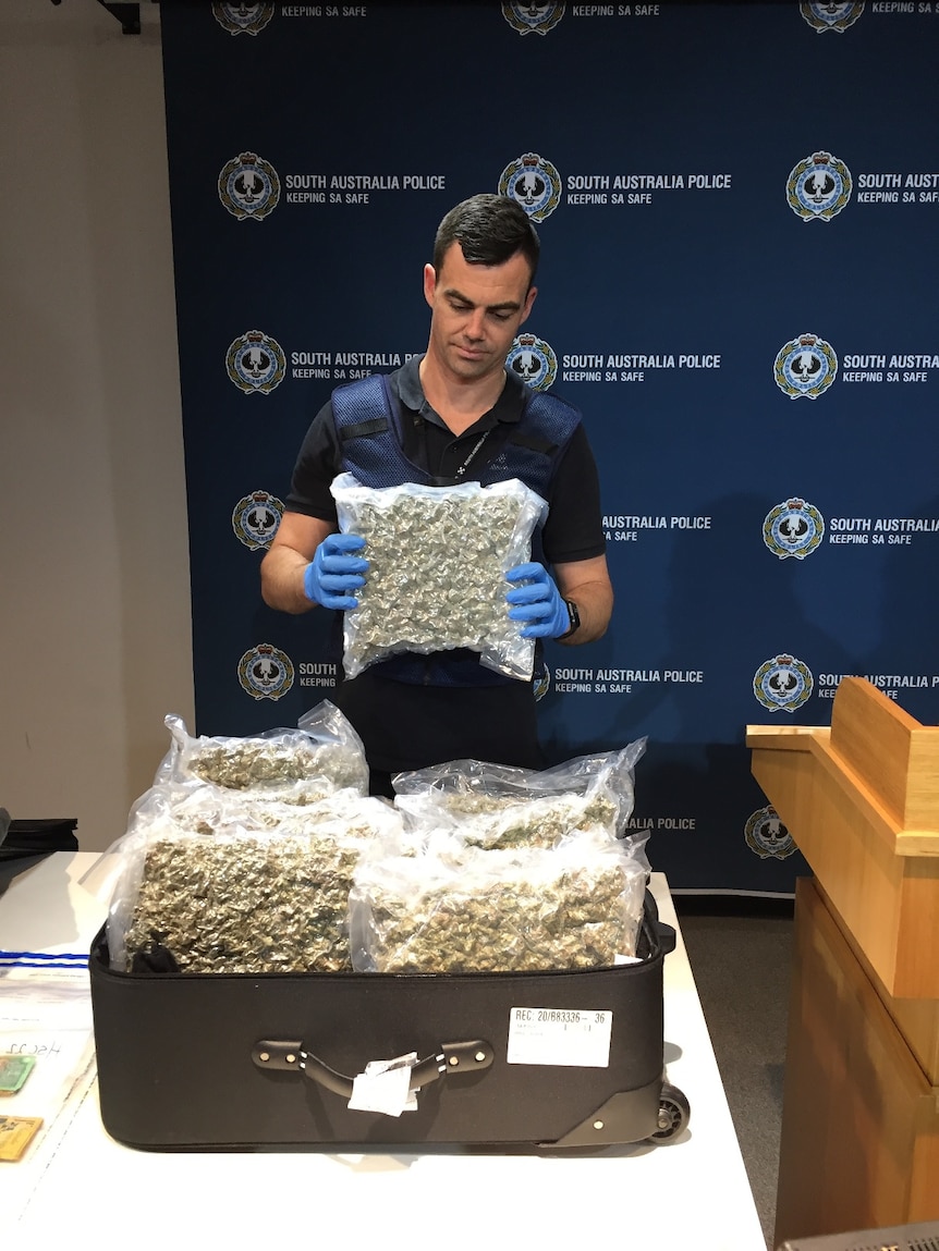 A police officer holds dried cannabis allegedly found at Adelaide Airport.