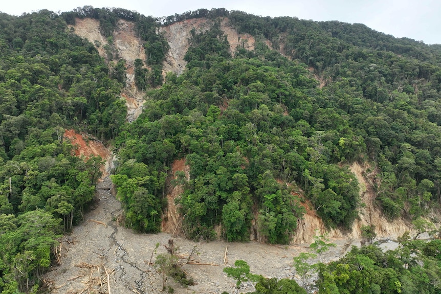 Landslides flowing into a creek and bay.