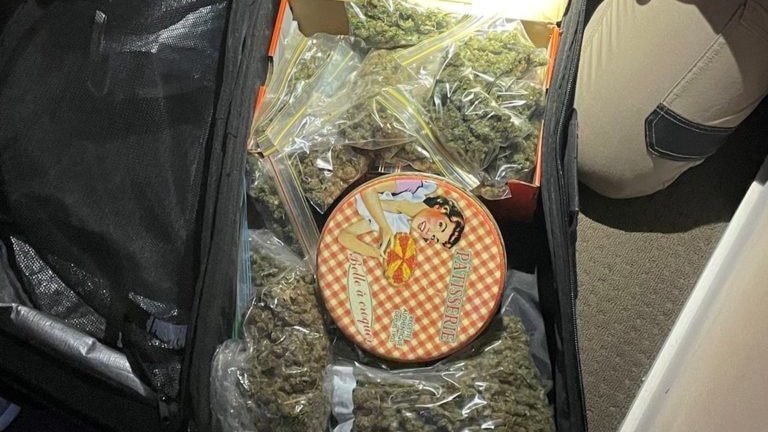 Seized cannabis