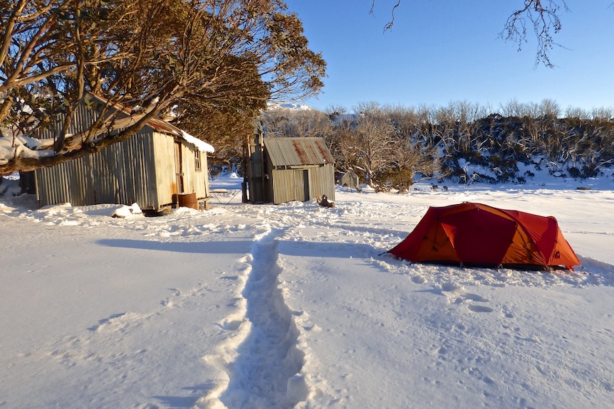 Two huts and a tent are seen in a field of snow.