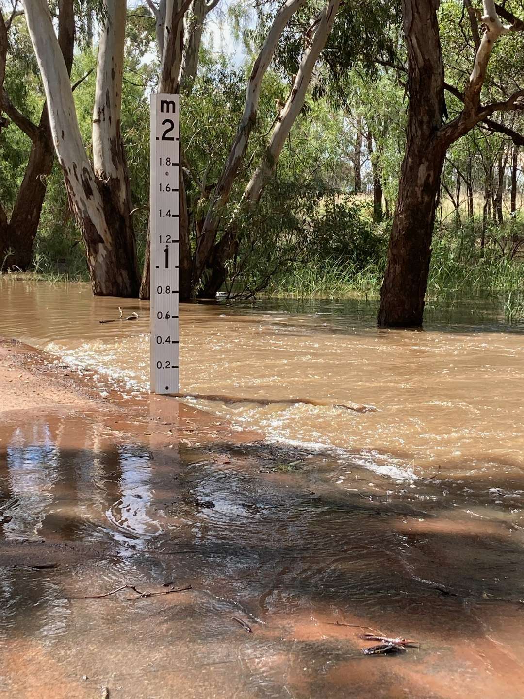 Ungarie school closed as locals predict more flooding ABC News