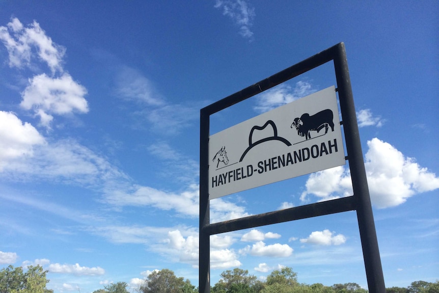 Sign at the entrance of Hayfield Station shows the station's brand and picture of a brahman bull