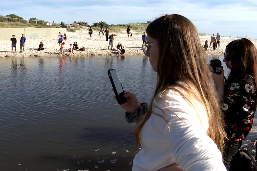 A woman holding a phone is among those lining a river outlet on a beach
