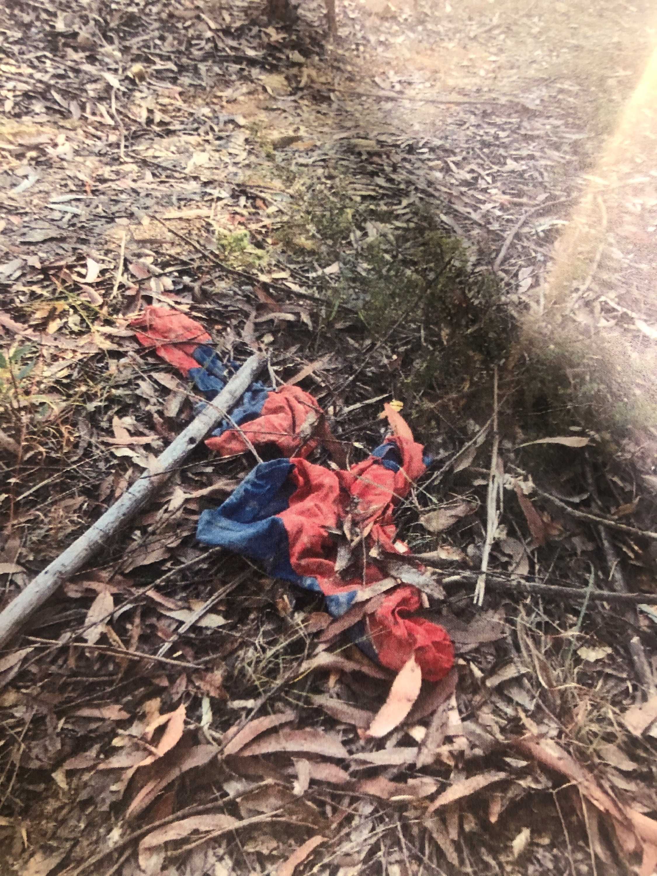 A Spiderman suit among leaves on the ground