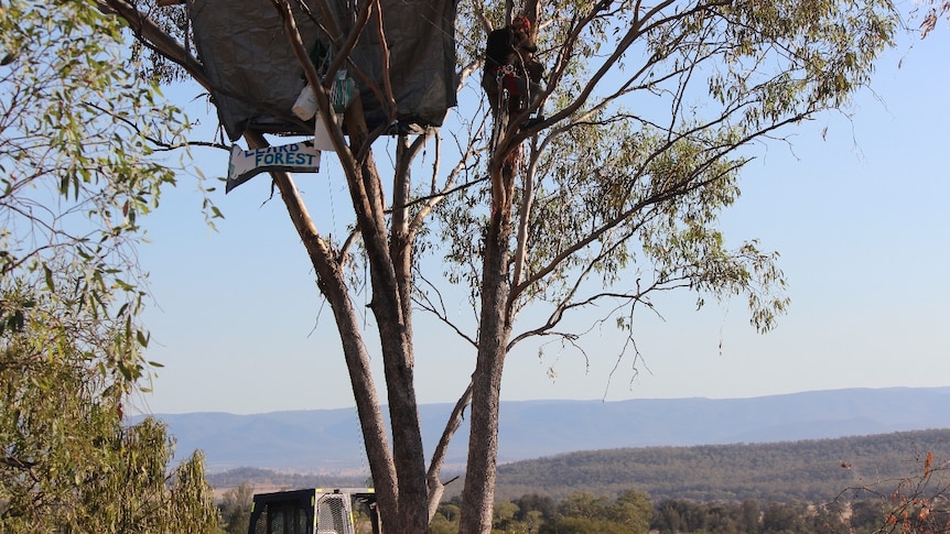 Maules Creek Mine protesters in January 2014