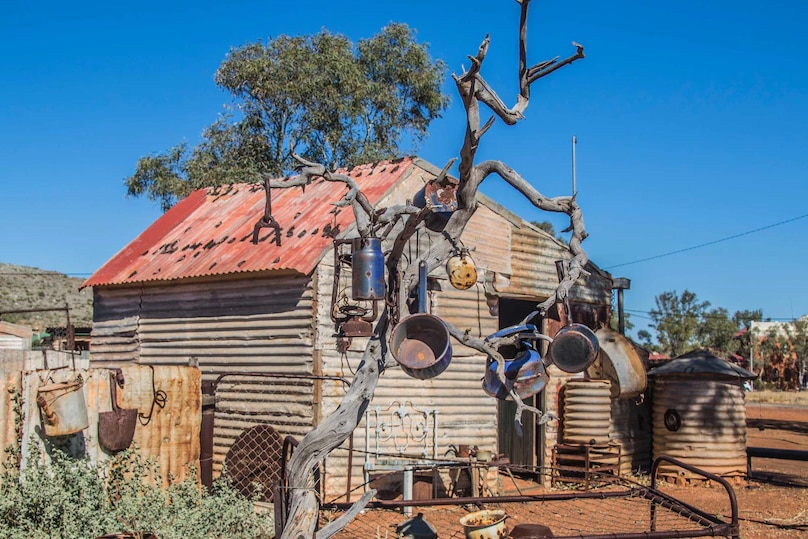 Image of a tin shack, with a corrugated iron roof. There's a gum tree out the front with various pots and pans hanging from it.