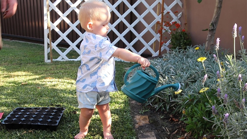 Budding gardener Cooper Ketteridge watering his plants