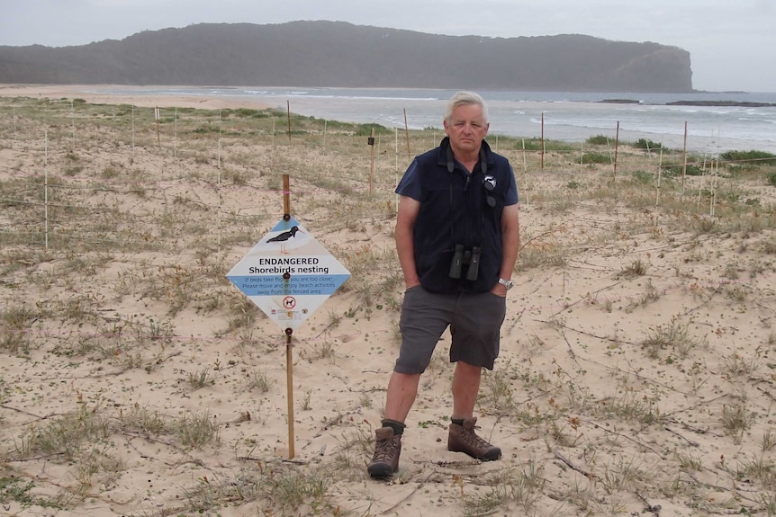 A man stands on the beach next to a warning sign wearing binoculars