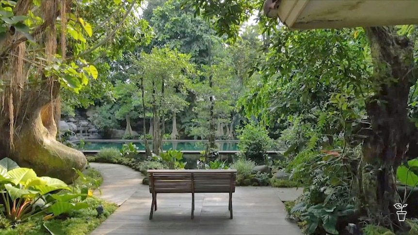 A lush, tropical garden with a large pool in the courtyard.