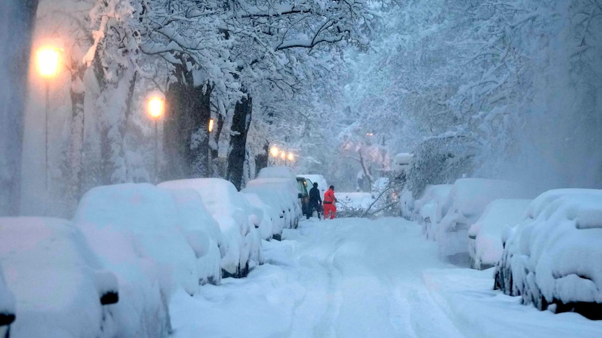 Forti nevicate e venti hanno causato il caos in tutta Europa e negli Stati Uniti, bloccando voli e ferrovie