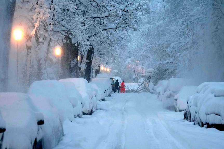 Shot of cars lined up covered by snow 