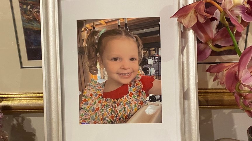 A photo of a young girl with pigtails, framed sits on a table.