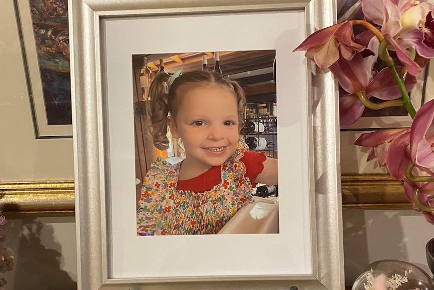 A photo of a young girl with pigtails, framed sits on a table.