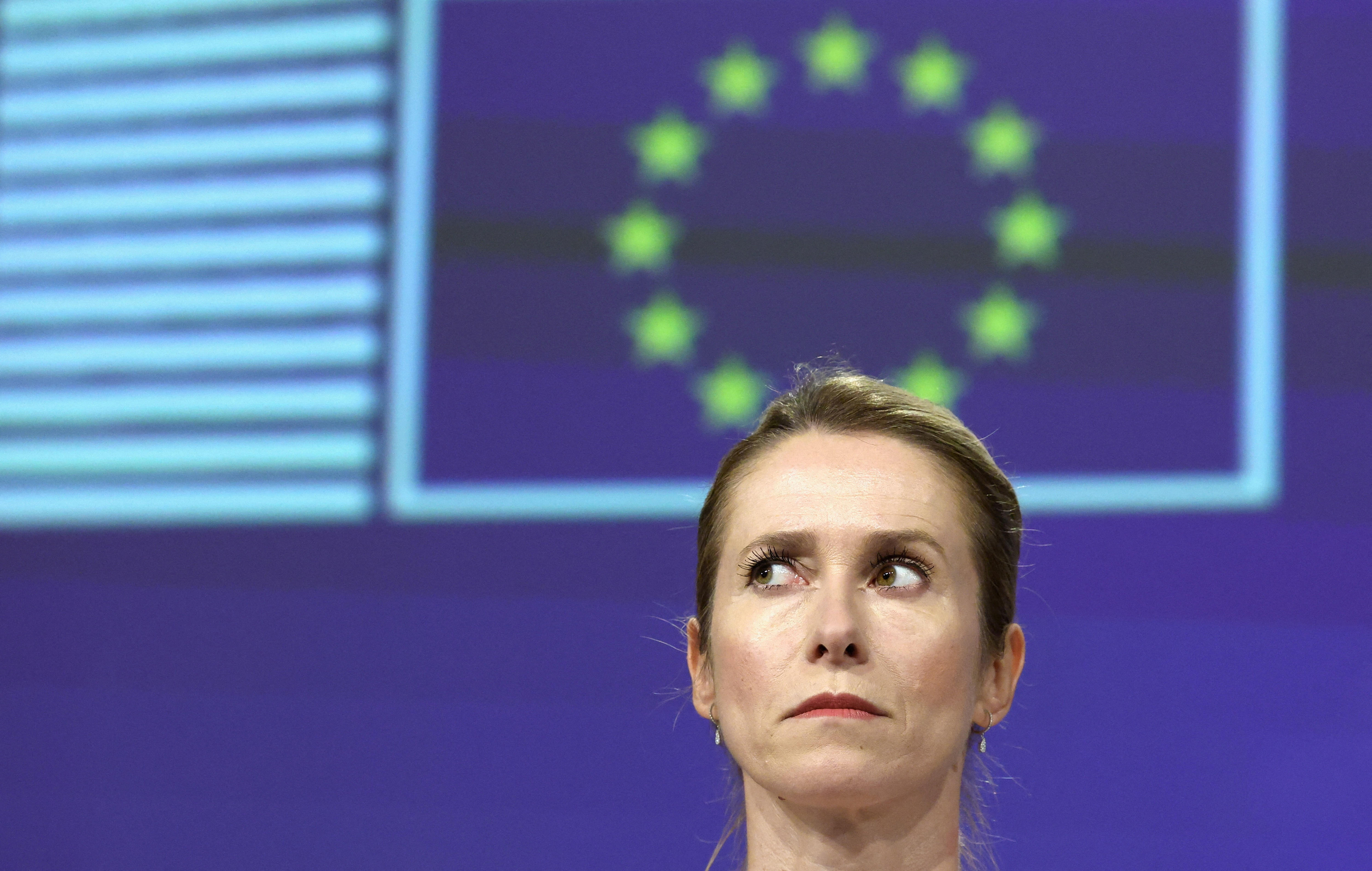 woman with slicked back blond hair stands in front of a european union flag