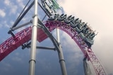 People with their arms up riding on a rollercoaster