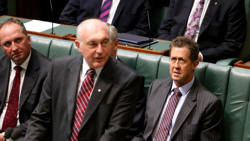 Barnaby Joyce and Luke Hartsuyker listen to Warren Truss in the House of Representatives