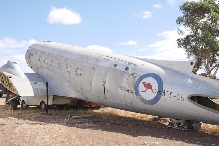 Un gran avión crecido con las alas recortadas se asienta contra un cielo azul y lleva el símbolo rojo de la fuerza aérea del canguro en la cola.