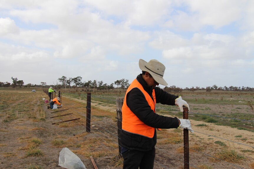 Three people in hi-vis vests stand along a wire fence, surrounded by paddocks.