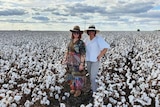 Two women in dresses and hats stand in a cotton field 