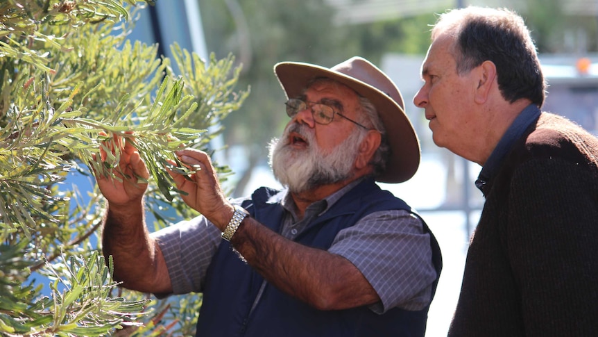 Dr Noel Nannup and Professor Stephen Hopper in a scene from the film.