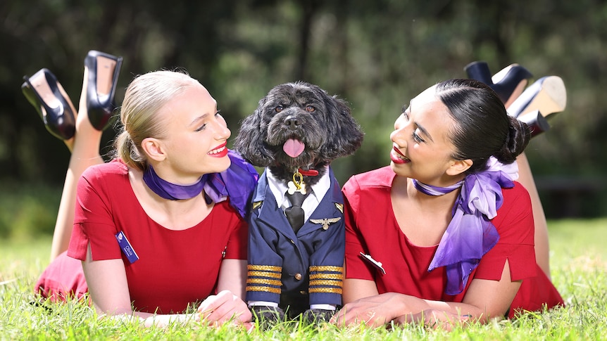 Two air hostess lie next to a dog wearing a pilot costume. 