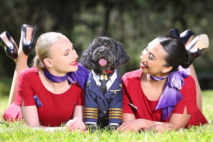 Two air hostess lie next to a dog wearing a pilot costume. 