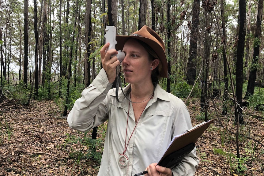Ecologist holds a tool up to her eye to help see the canopy above