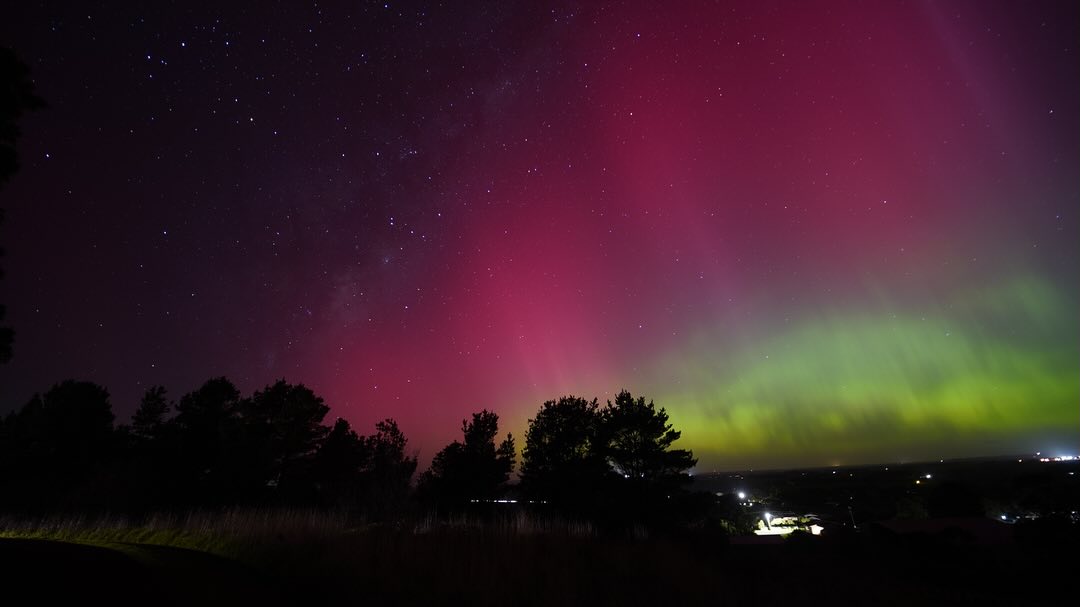 A green and pink aurora behind tree shadows. 
