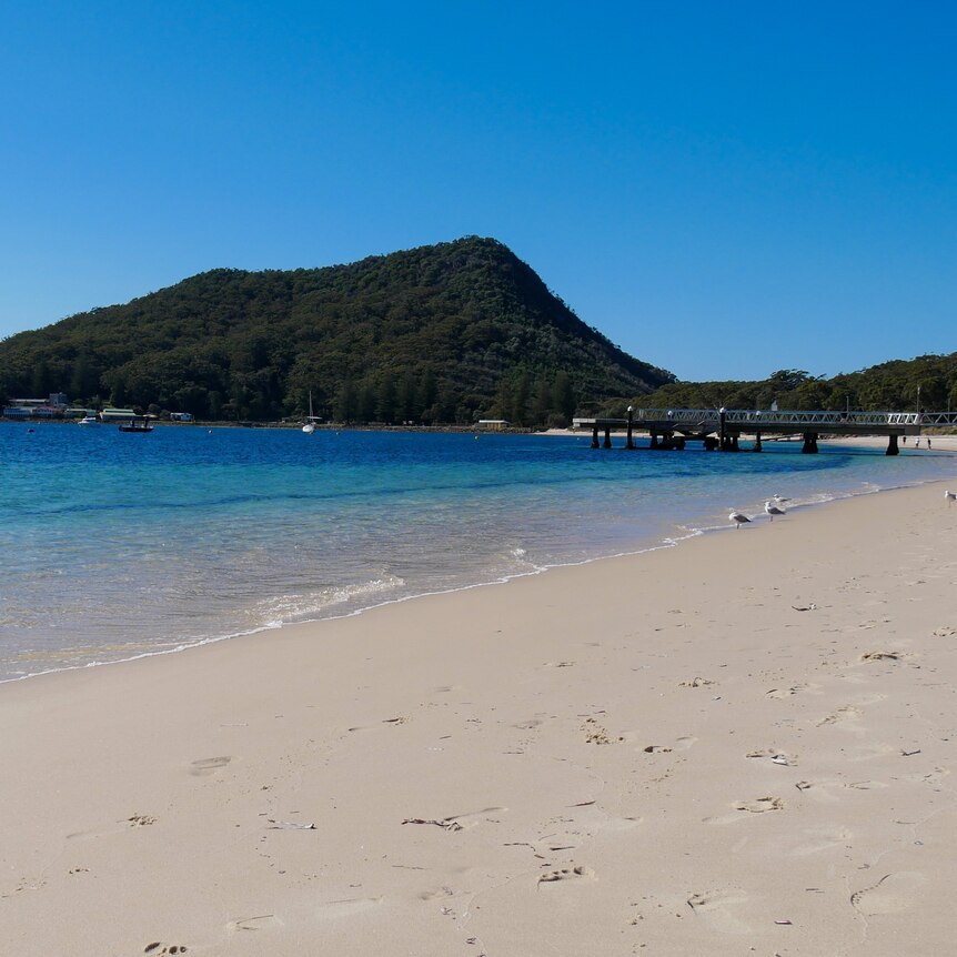 A beach with a pier, hills and boats on the water in the background. 