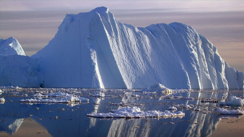 An iceberg carved from a glacier floats in the Jacobshavn fjord.