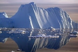 An iceberg carved from a glacier floats in the Jacobshavn fjord.