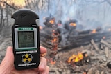 A Geiger counter shows increased radiation level against the background of the forest fire burning near Chernobyl.