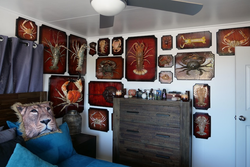 A bedroom wall display of ocean crustaceans on timber boards. 
