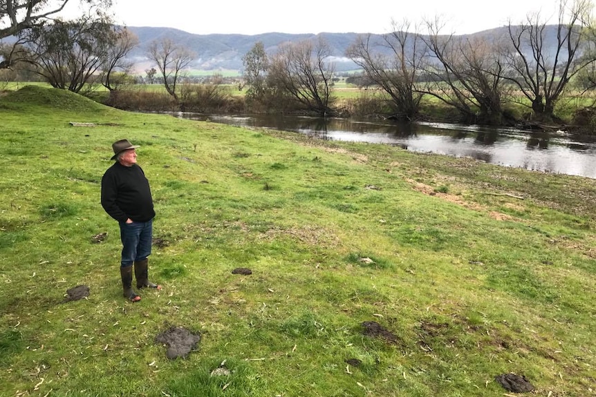 A man looks at a river in a green pasture 