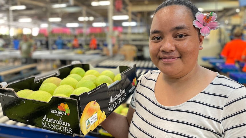 A lady holding a tray of mangoes