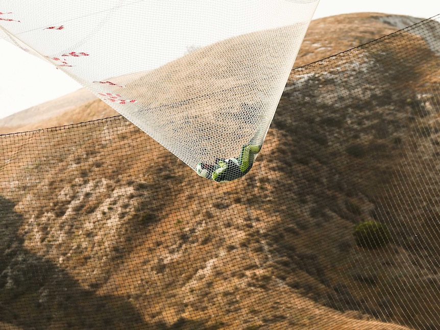 Skydiver Luke Aikins lands safely into a net after jumping 7,600 metres from an airplane without a parachute or wing suit