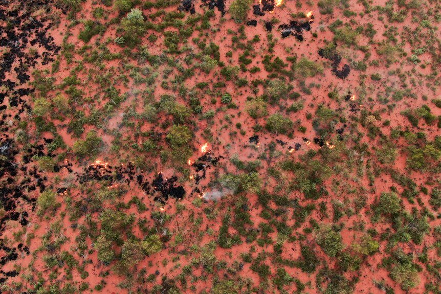Fire burns vegetation patches dotted over red sand.