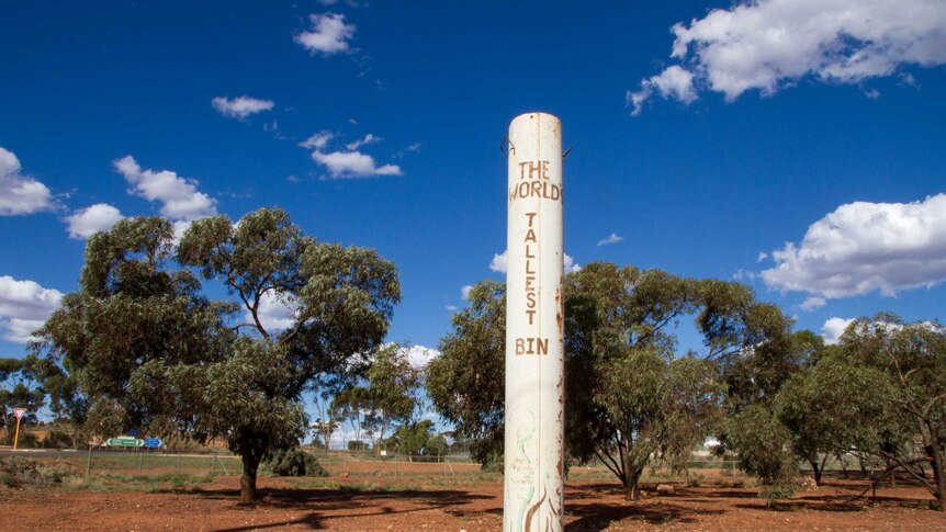 A long piece of pipe standing in the ground, with World's Tallest Bin painted on it.