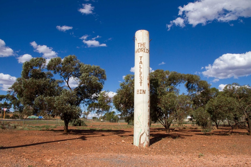 A long piece of pipe standing in the ground, with World's Tallest Bin painted on it.