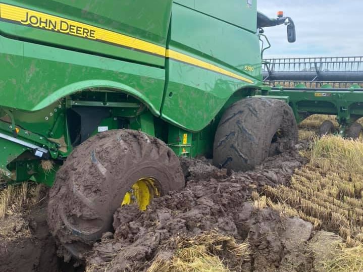 A big green John Deere header bogged in mud while stripping a rice crop.