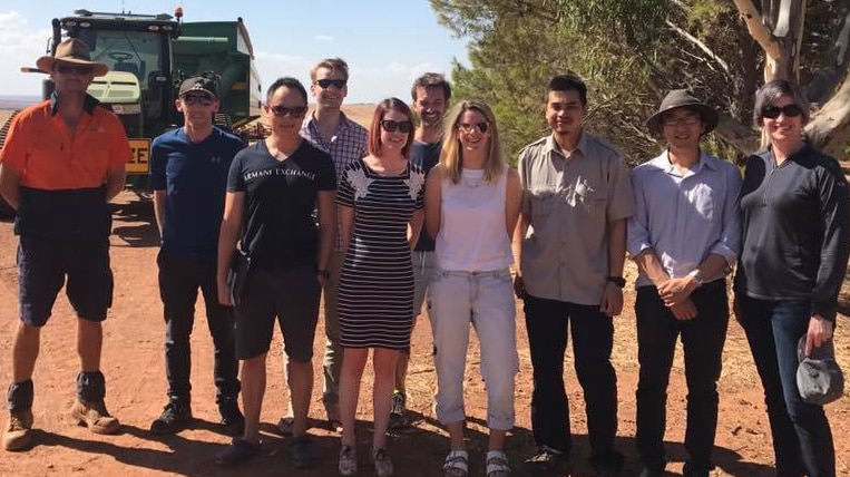 Doctors' visit to the farm