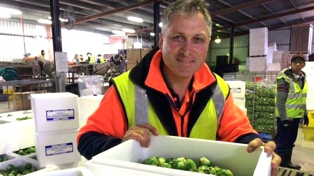 John Cranwell from the Adelaide Hills is a third generation brussels sprout farmer.