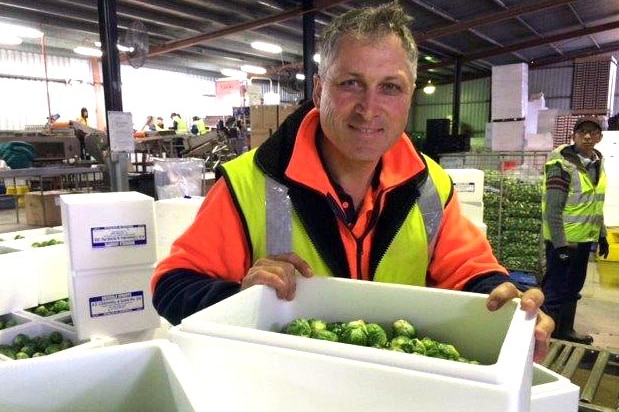 John Cranwell from the Adelaide Hills is a third generation brussels sprout farmer.