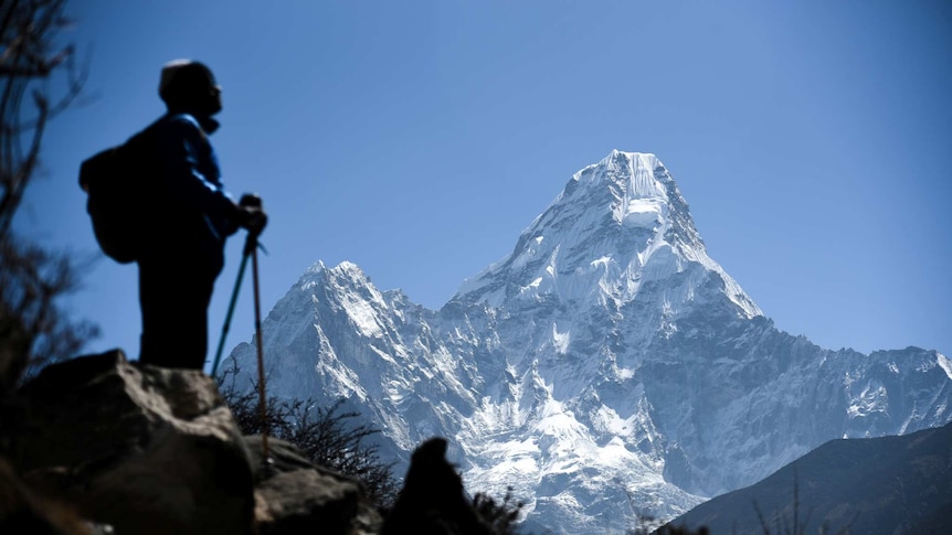 A person wearing a backpack and hiking sticks looks up at a mountain capped with snow.