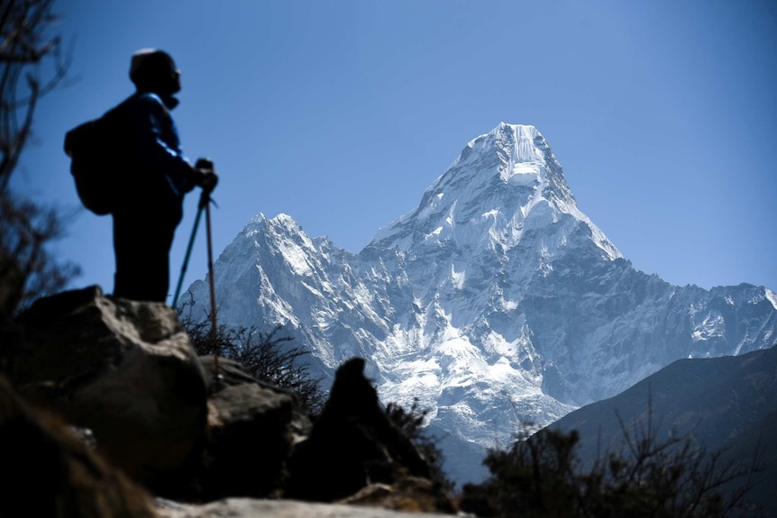 A person wearing a backpack and hiking sticks looks up at a mountain capped with snow.