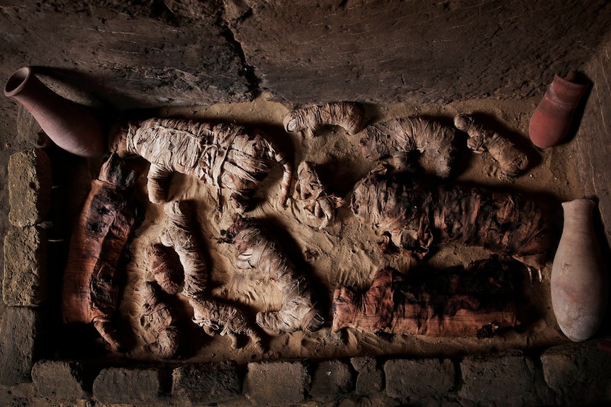 Mummified cats inside a tomb, at an ancient necropolis near Egypt's famed pyramids in Saqqara.