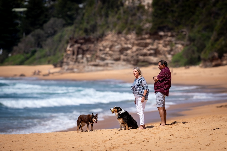 A man and a woman stand on a beach with two dogs.